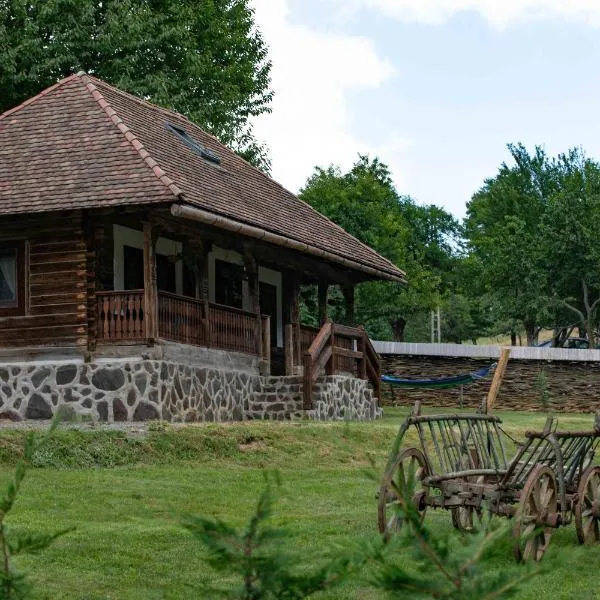 Due Fratelli Village Resort, hotel in Şinteu