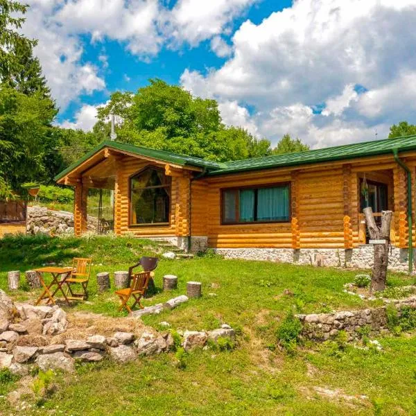 Вила Брезите, hotel in Pamporovo