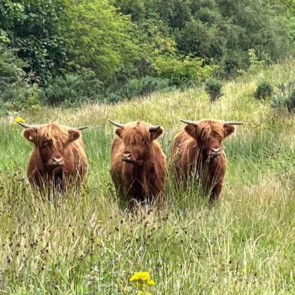 Ben Nevis Manor, Hotel in Fort William