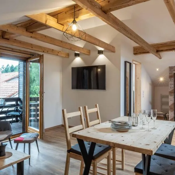 Ski-Bike-Apartment Bayerwald, ξενοδοχείο σε Lohberg