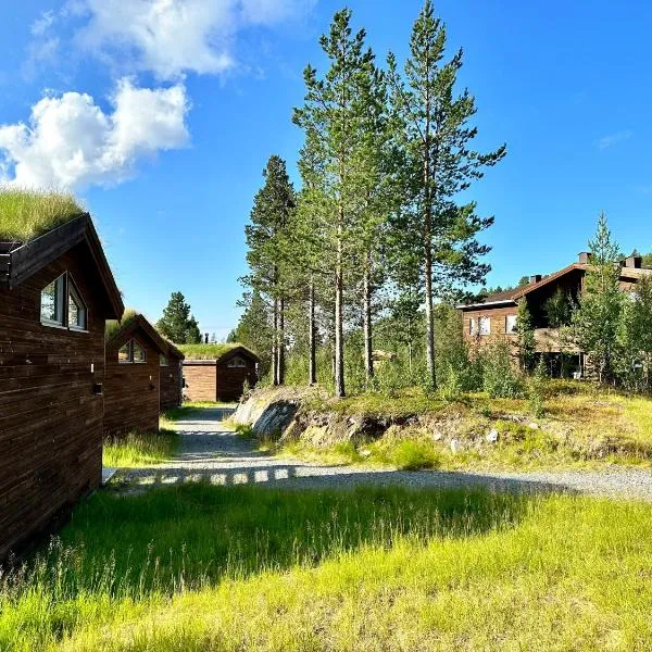 Bjørnfjell Mountain Lodge, hotel ad Alta