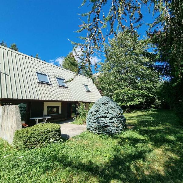 Chalet spacieux 10 pers, 4 chambres, jardin, cheminée, animaux OK, ménage fin séjour option - FR-1-393-38
