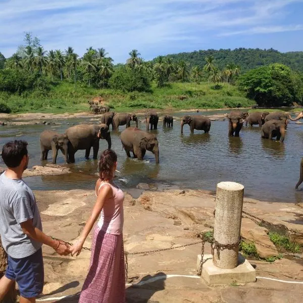 Peacock Village Pinnawala - Offer Alert! Elephant Welfare Program, hotel in Pinnawala