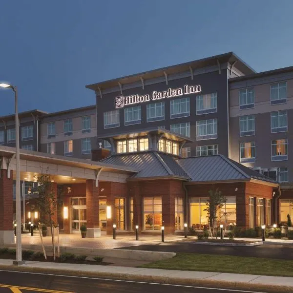 Hilton Garden Inn Boston Logan Airport, hotel in Boston
