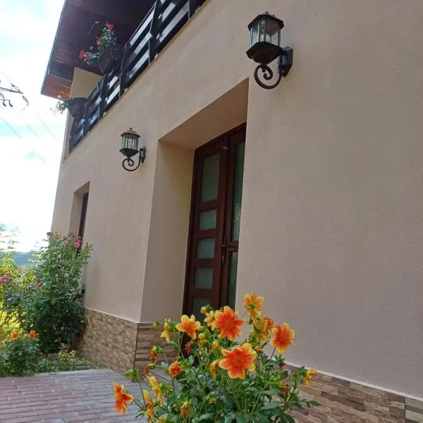 Casa Radu Novaci، فندق في نوفاسي-سترايني