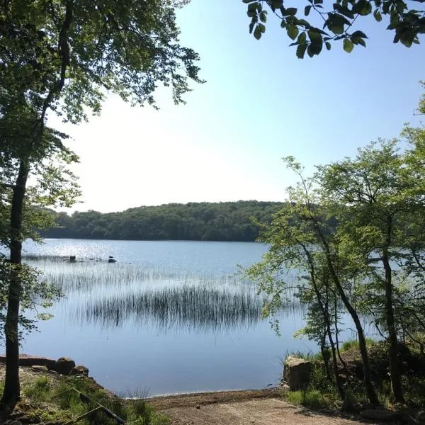 The Plain View, ξενοδοχείο σε Boyle