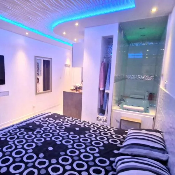Bron centre appartement meublé avec jacuzzi, hotel di Bron