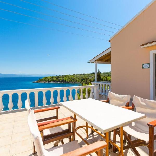 Dolphin Villa 3