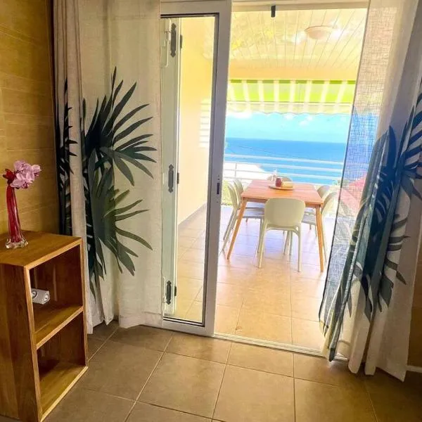 Suite Spacieuse 4 étoiles 77m2 vue mer Les Saintes, hotel v mestu Trois-Rivières