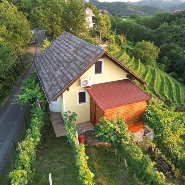 Adorable guesthouse in the middle of vineyards, hotel en Ptujska Gora