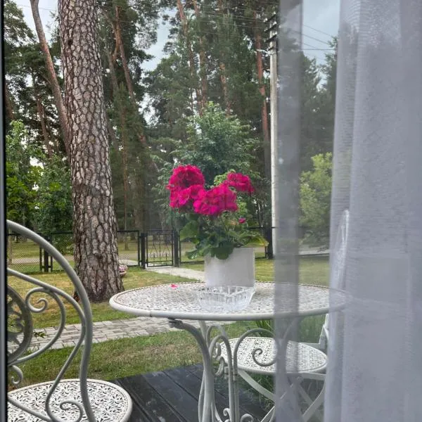 Kulautuva Park Apartments, hotel v destinaci Kulautuva