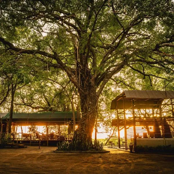 ASKIESBOS - Samochima Bush Camp, hotel in Shakawe
