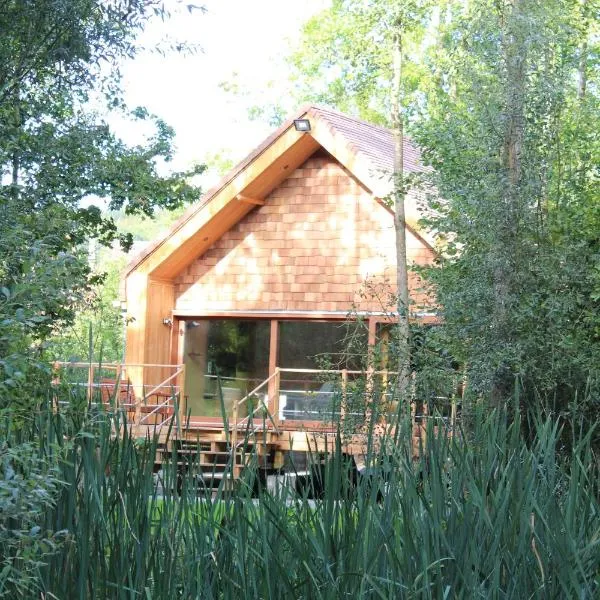 Entre mare et chêne, hotel in Frasnes-lez-Anvaing