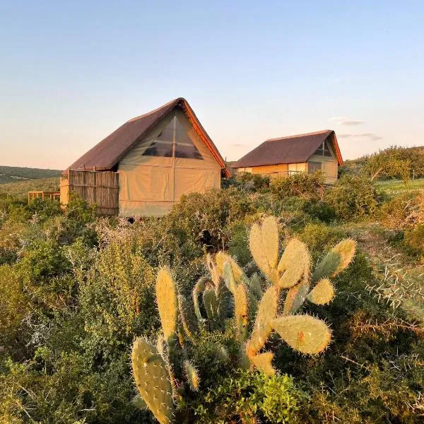 Harmony Luxury Tents & Safari, hotel v destinácii Addo