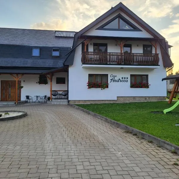 Casa Andreea, ξενοδοχείο σε Vatra Dornei