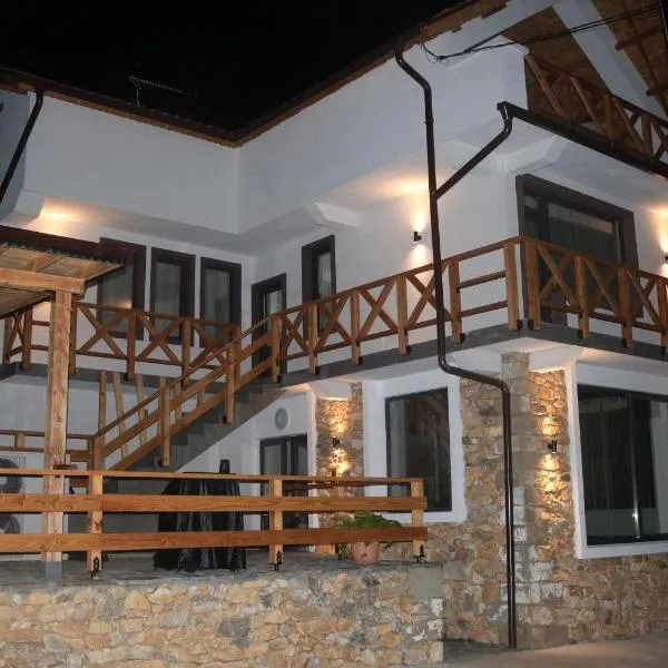 Вила Дружинци, hotel in Druzhintsi