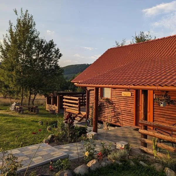 Cabana Nyiko cu ciubăr, Hotel in Lupeni