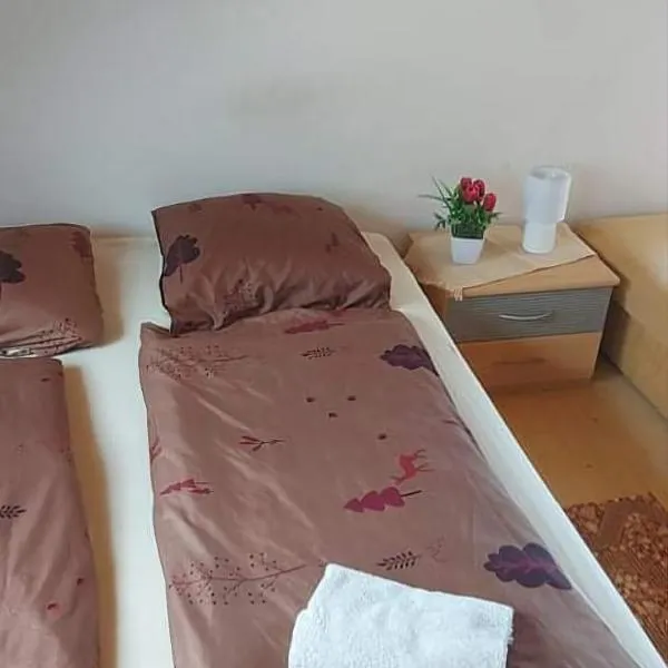 Visszavár-Lak privát bérlemény, hotel in Badacsonytomaj