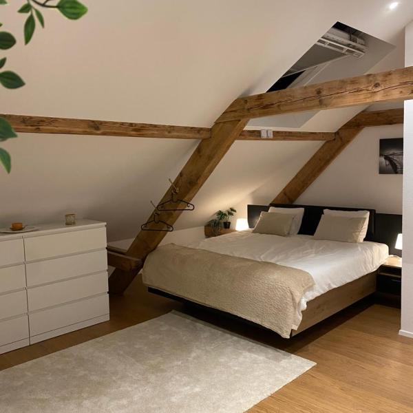 Eine schöne Wohnung an der Birs, Basel