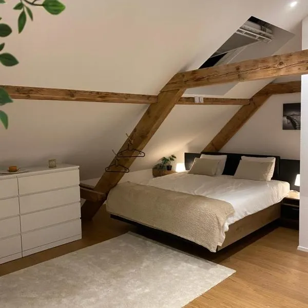 Eine schöne Wohnung an der Birs, hotel v Basileji