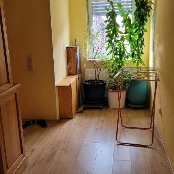 Selzen, hotel v destinaci Selzen