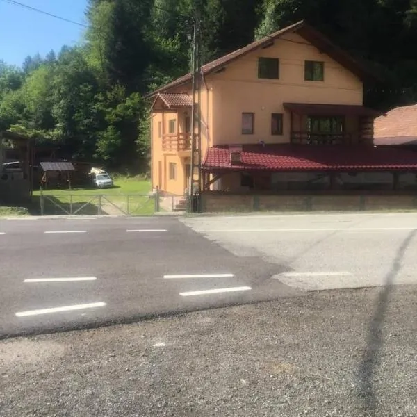 CASA DAVID, hotel in Voineasa