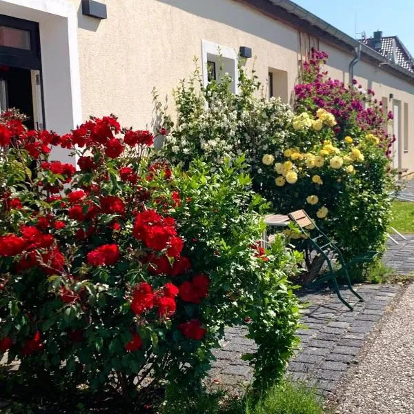 die Senfbude - Klein aber fein - wunderschönes Studio-Apartment mit Terrasse und Stellplatz, hotel in Leipzig