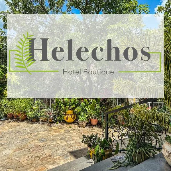 Helechos Hotel, hôtel à Comayagua