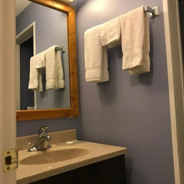 The little chalet motel, hotel v destinaci Brandon