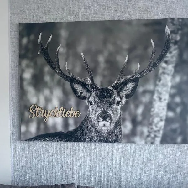 Ferienwohnung Stryckliebe, hotel v destinaci Willingen