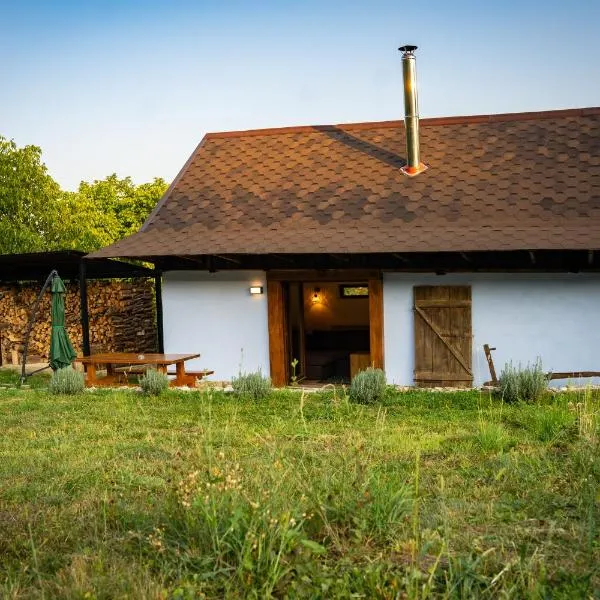 Open View Place The Old Barn, Hotel in Pângărăcior