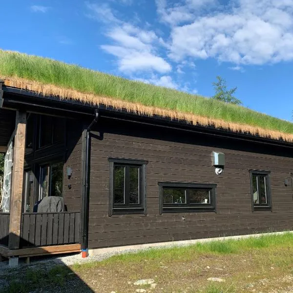 Skarvruet Lodge Funäsdalen, hotel in Tänndalen