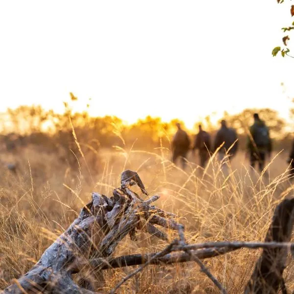 Simbavati Trails Camp, hotel v destinaci Timbavati Game Reserve