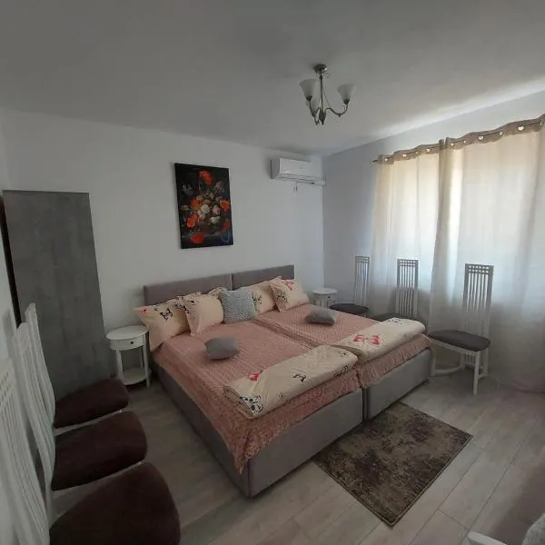 Casa Ramona, hotel in Socodor