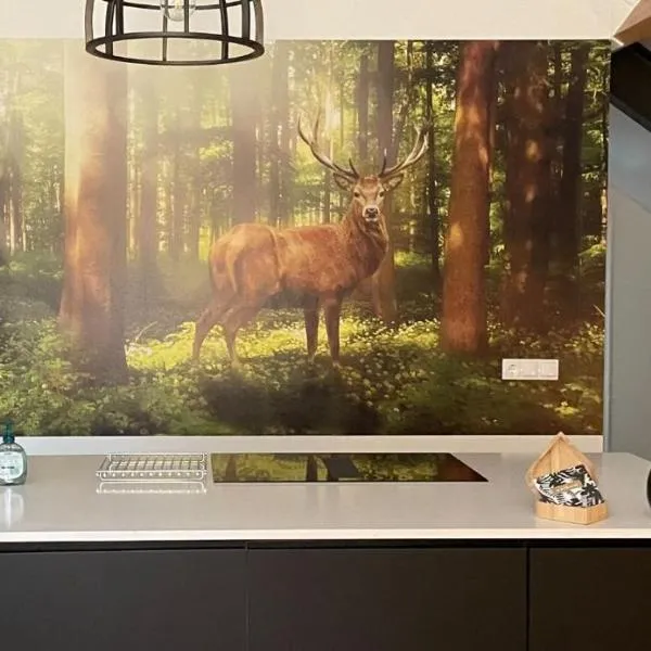 Boerderij appartement De Casterie, hotel em Bornerbroek