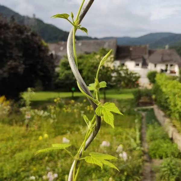 Monkey Factory - Mini Home-Stay Hostel、トラーベン・トラーバッハのホテル