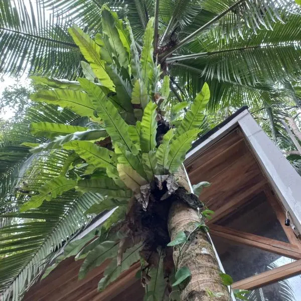 Mini Smole Cabin, hotel v destinaci Batukaras