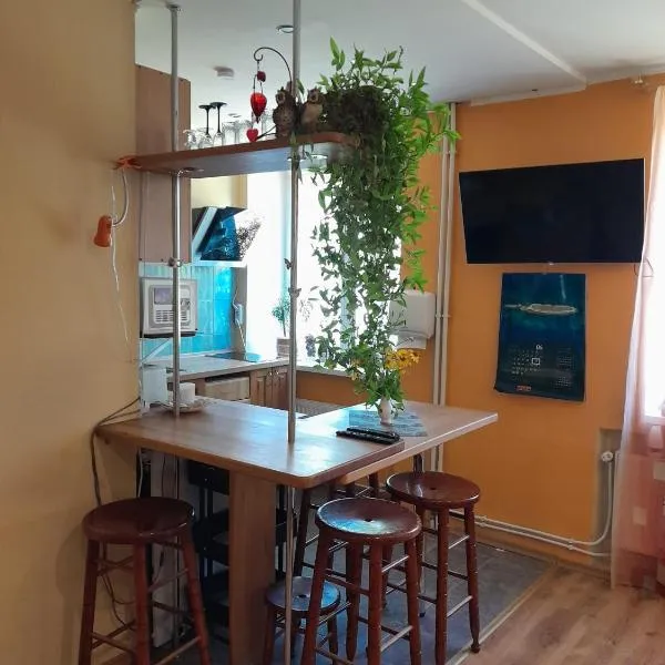 Cozy Apartment、アルークスネのホテル