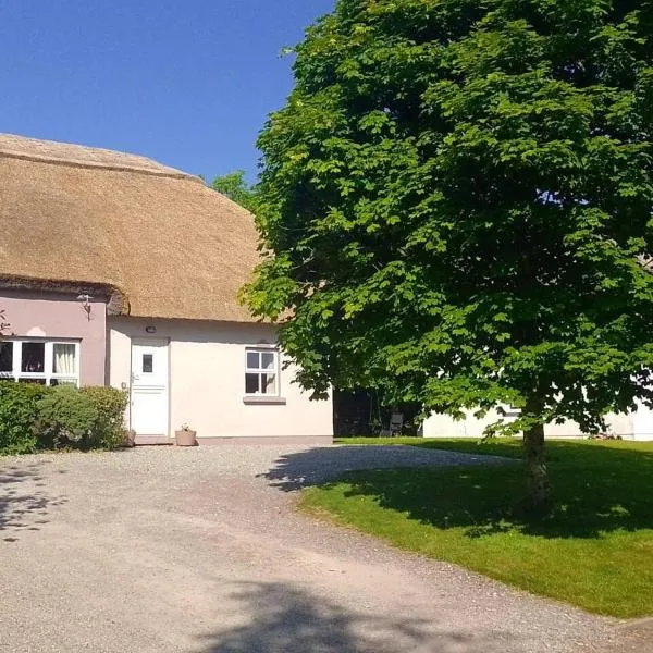Kilarney cottage, hotel in Killarney