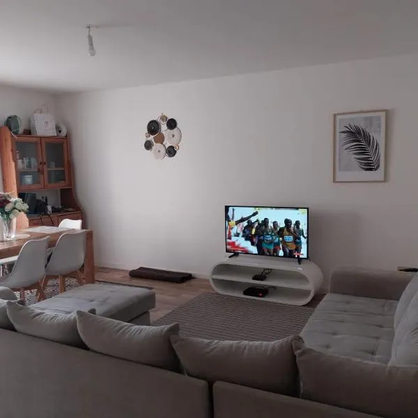 Charmant appartement T2 parc JB Lebas, hotel in Lille