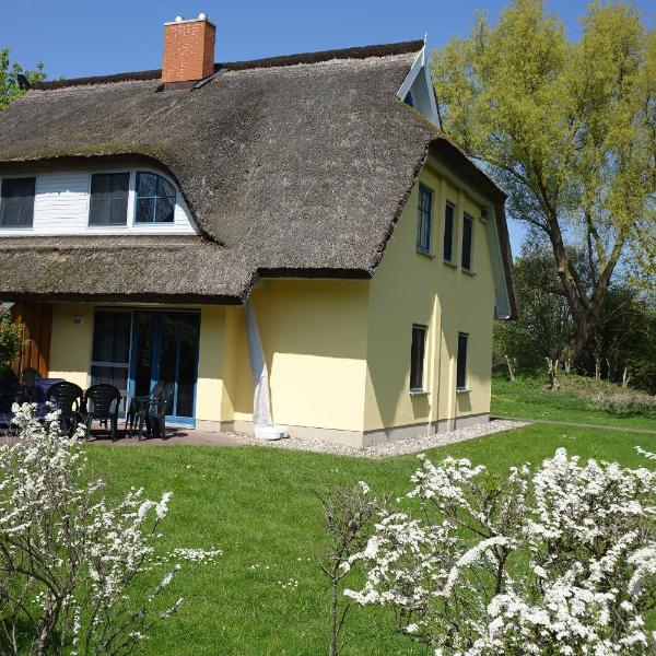 Reetdachhaus Weißdorn 1