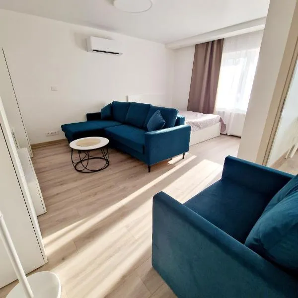 Apartments in Lazdijai, hotel in Lazdijai