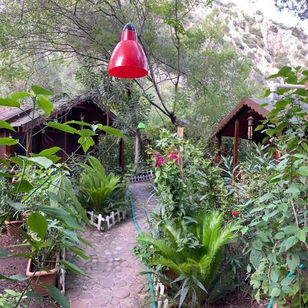 Canario Bungalows, hotel v destinaci Çıralı