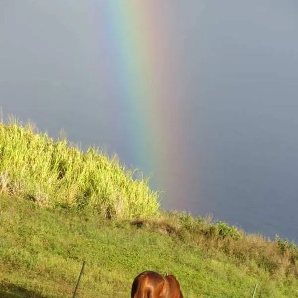 Waipio Studio Apartment, khách sạn ở Kukuihaele