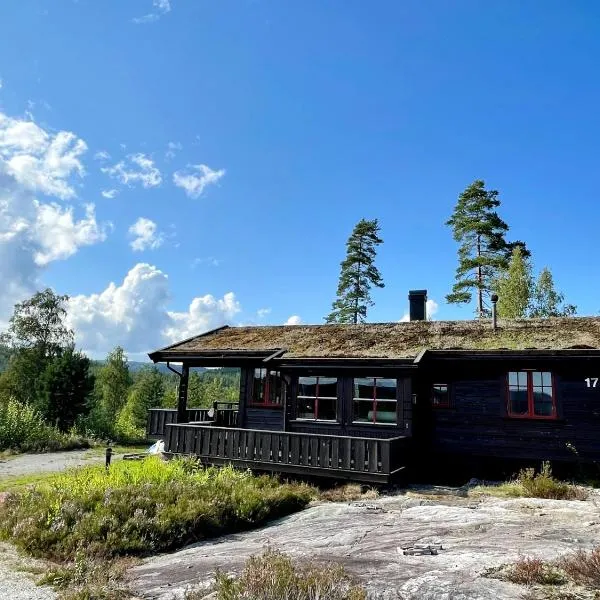 Koia - flott beliggenhet ved vannet Vegår、Vegårsheiのホテル