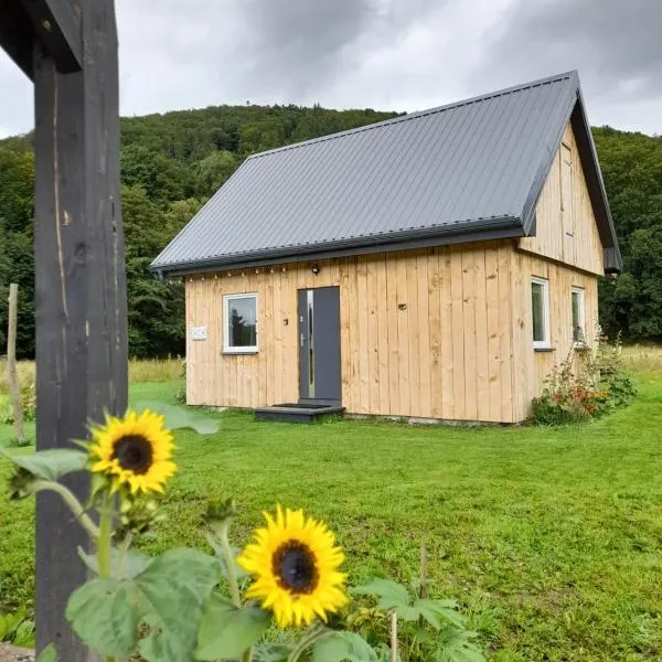 Domek Pod Górką, hotel v destinaci Lądek-Zdrój