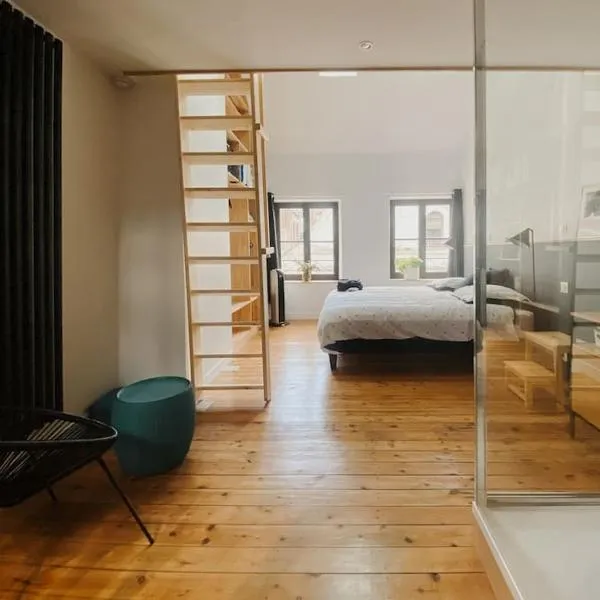 La Maison Rose Quartier des Arts - Hyper centre, hotel v destinaci Arras