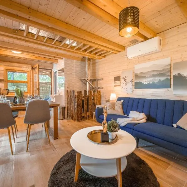 Magic new cozy tiny house at private lake, hotel in Řehenice