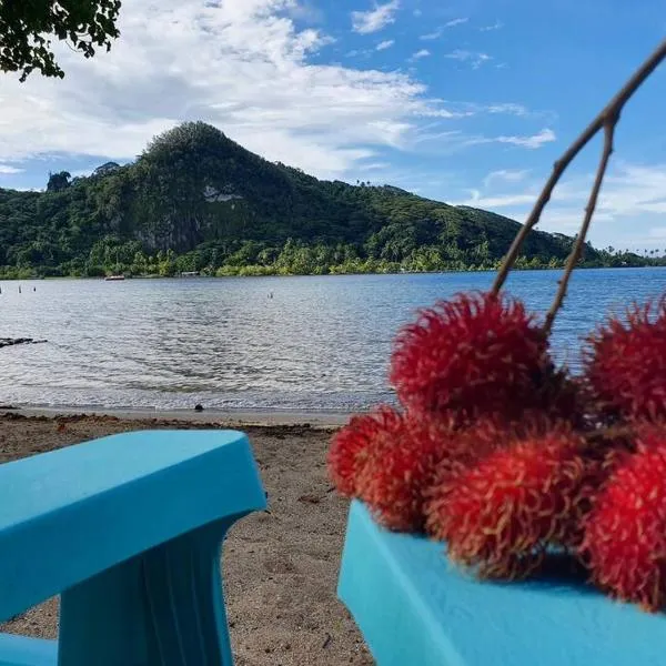 RAIATEA, Opoa, Studio du Fare Rêvé, accès mer privatif, hotell sihtkohas Opoa