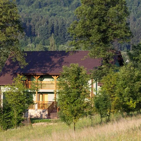 Dom noclegowy „POD MNICHEM”, hotel in Wambierzyce